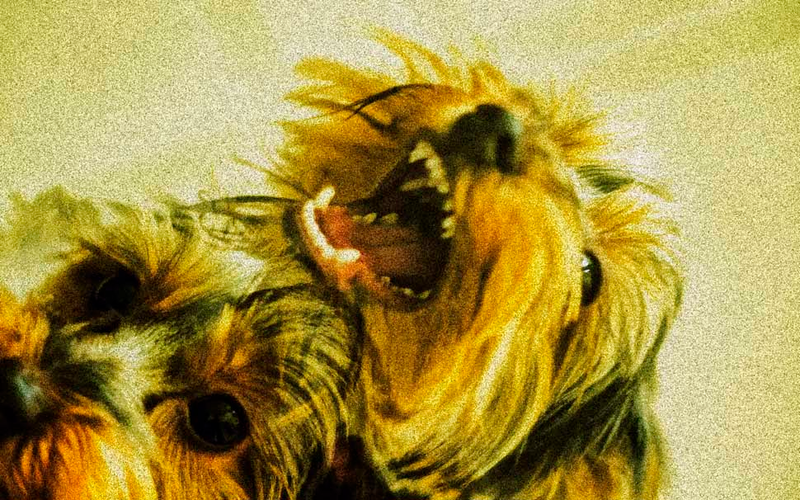 Illustration for article titled Shooting Challenge: Double Exposure, Gallery 2